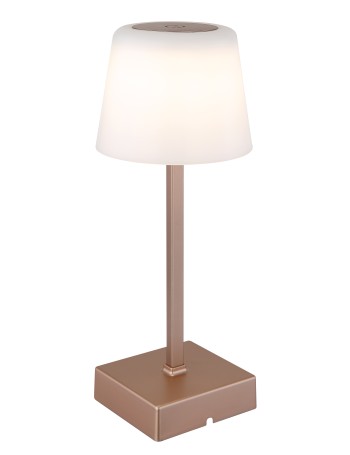 Xayden lampada da tavolo plastica color champagne satinato  led
