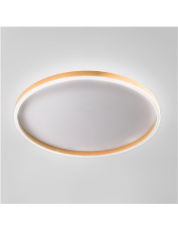 Aela plafoniera led grande pesca 60W+12W 3800-3900lm