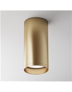 Lampada da soffitto Focus oro opaco GU10 Technical