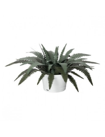 Lampada da terra a forma di pianta felce verde e salvia