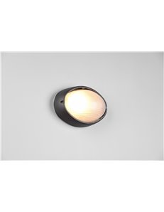 Temo plafoniera applique da esterno ovale fusione di alluminio nera e vetro satinato l.21,3cm ip44