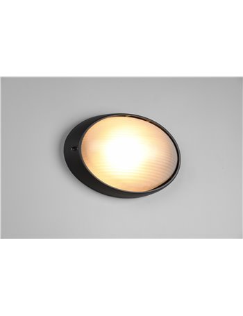Temo plafoniera applique da esterno ovale fusione di alluminio nera e vetro satinato l.32cm ip44