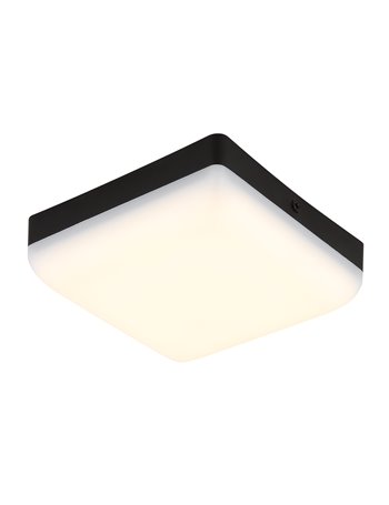 Matthew plafoniera plastica nero satinato LED IP20