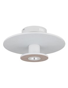 Carter plafoniera metallo bianco satinato LED IP20 2