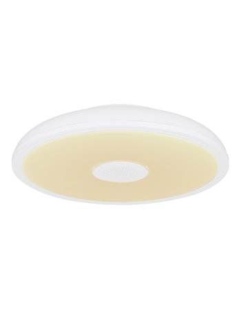 Raffy plafoniera plastica bianco LED IP44