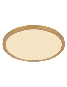 Sapana plafoniera plastica color ottone satinato LED IP44