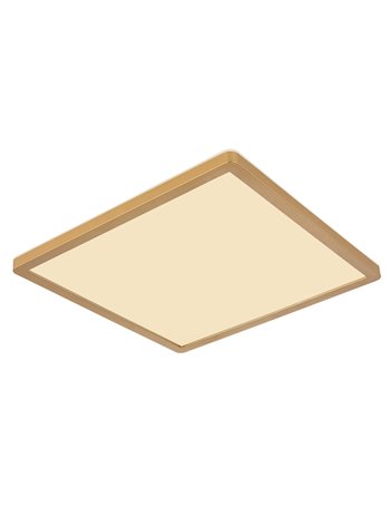 Sapana plafoniera plastica color ottone satinato LED IP44