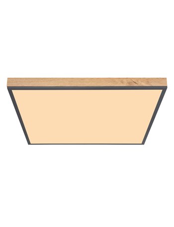 Doro plafoniera alluminio grafite LED IP20 Doro plafoniera alluminio grafite LED IP20