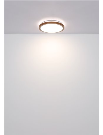Bruno plafoniera metallo nero satinato LED IP20